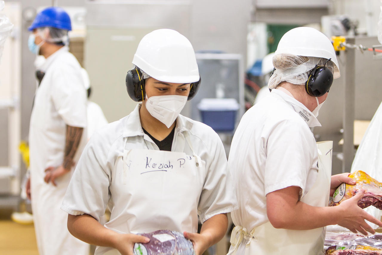 Greenlea workers packing meat