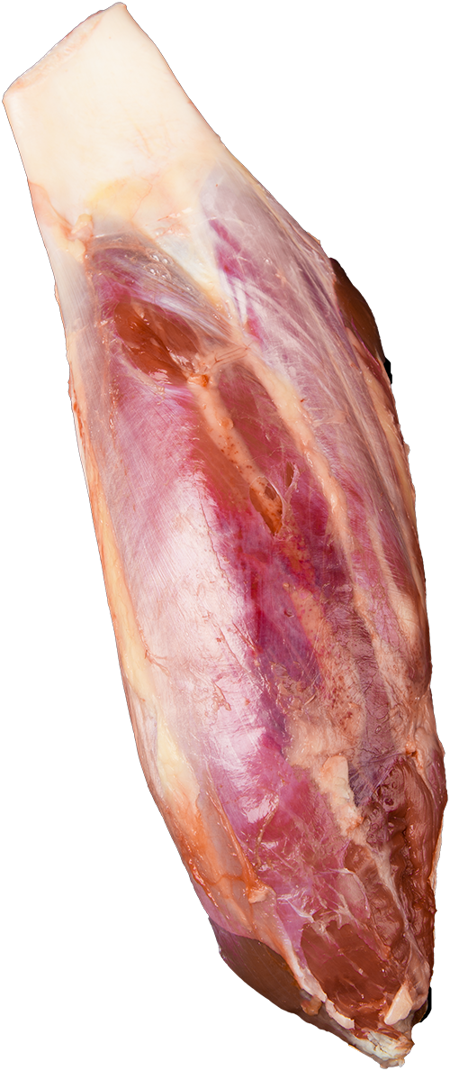 Beef Conical Muscle